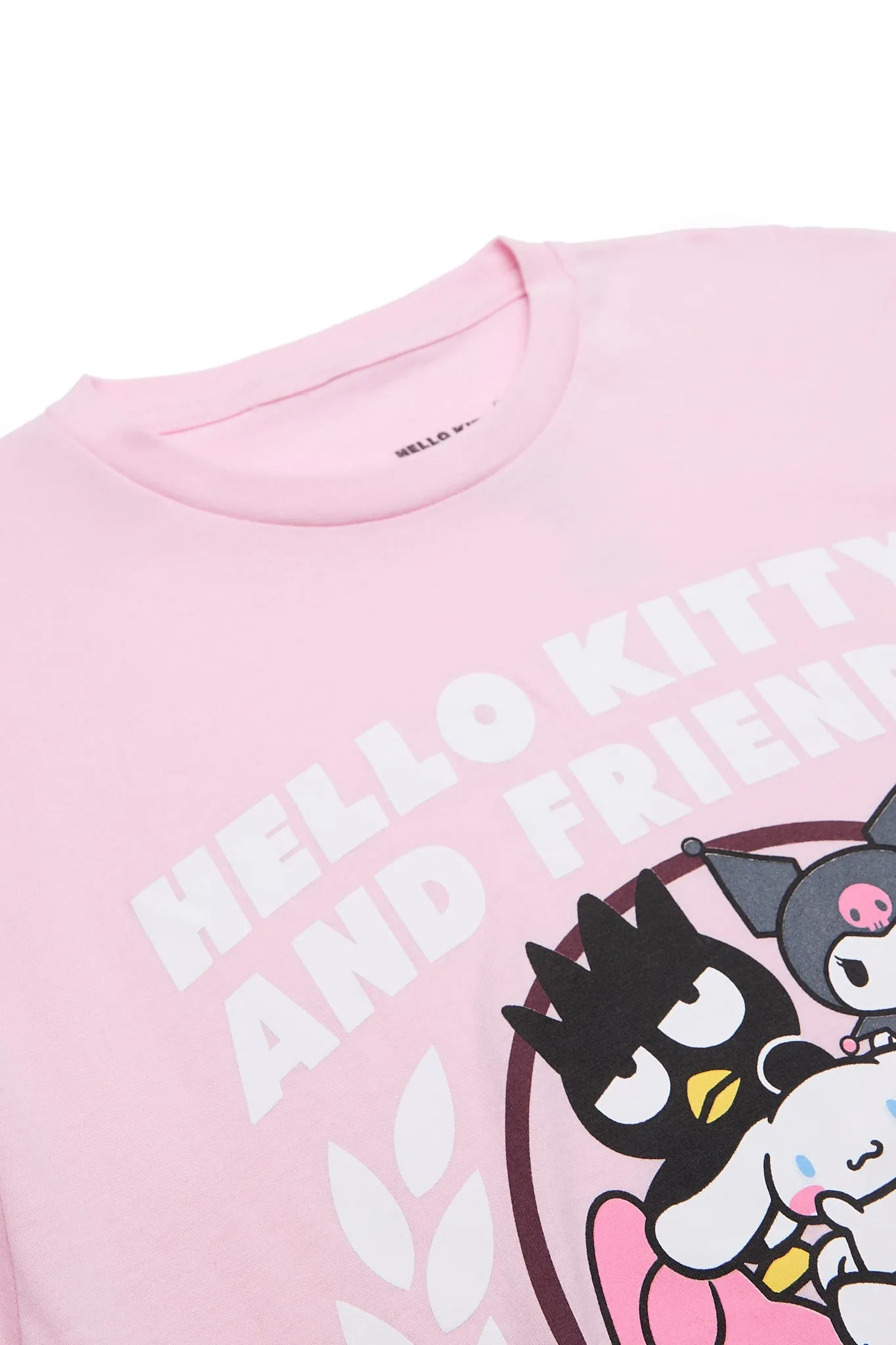 Hello Kitty And Friends Graphic Classic Tee